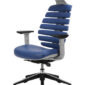 Spine_電腦椅_辦公椅_人體工學椅_藍色