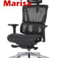 Marisa_人體工學椅_電腦椅_辦公椅_黑色正斜面照片