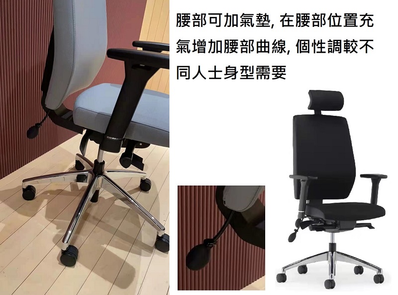 alpha_人體工學椅_電腦椅_腰部氣墊