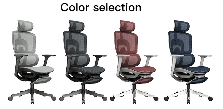 Hela_ 人體工學椅連腳踏提供多種顏色選擇