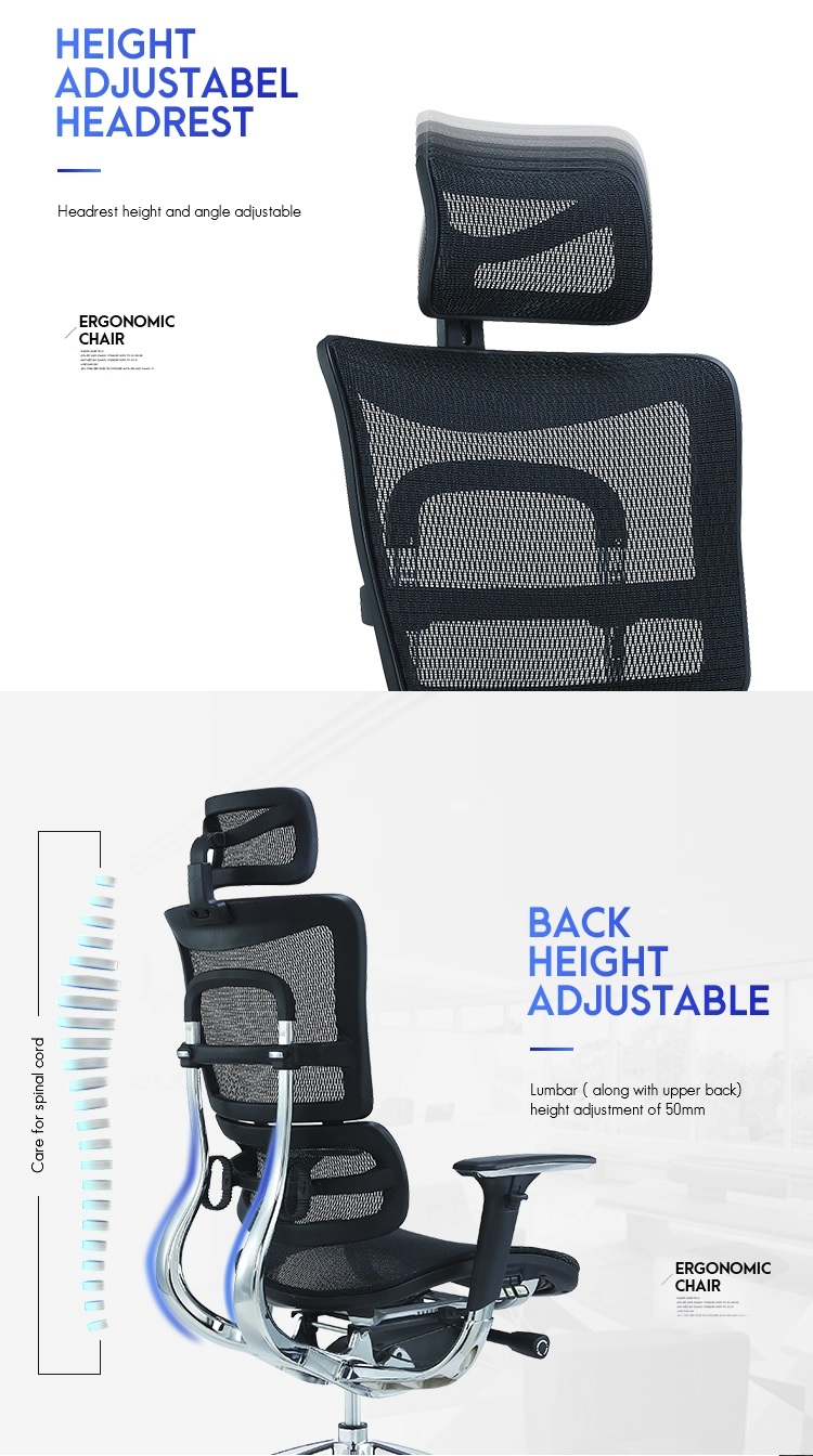 King_人體工學行政椅_3D頭枕及椅背升度功能_可配個人最合適的坐墊
