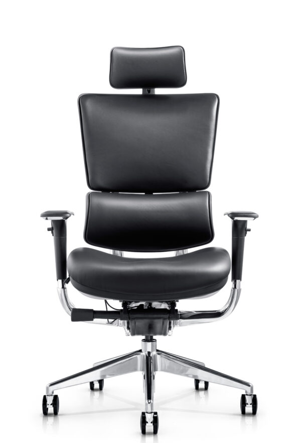 King_人體工學行政椅_正面照片