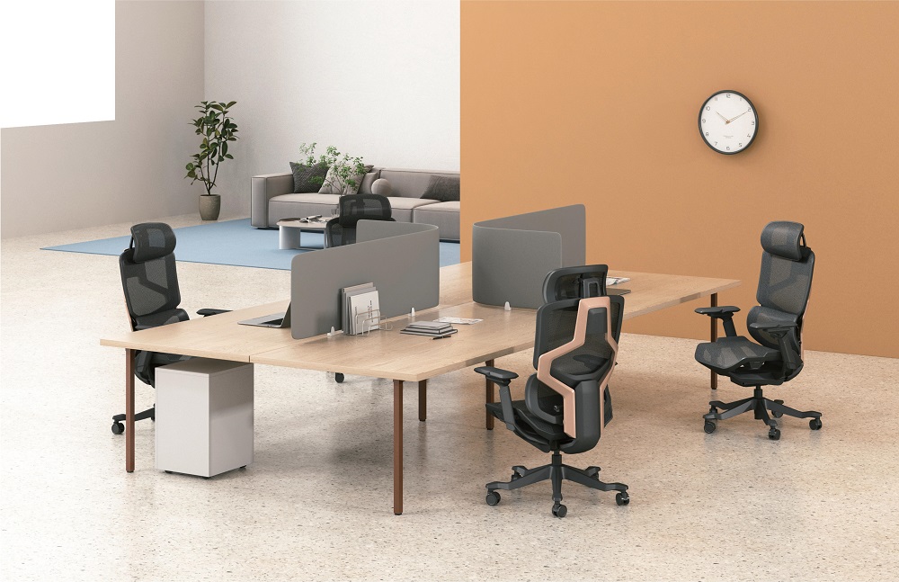 Donna_人體工學_辦公室布置場景