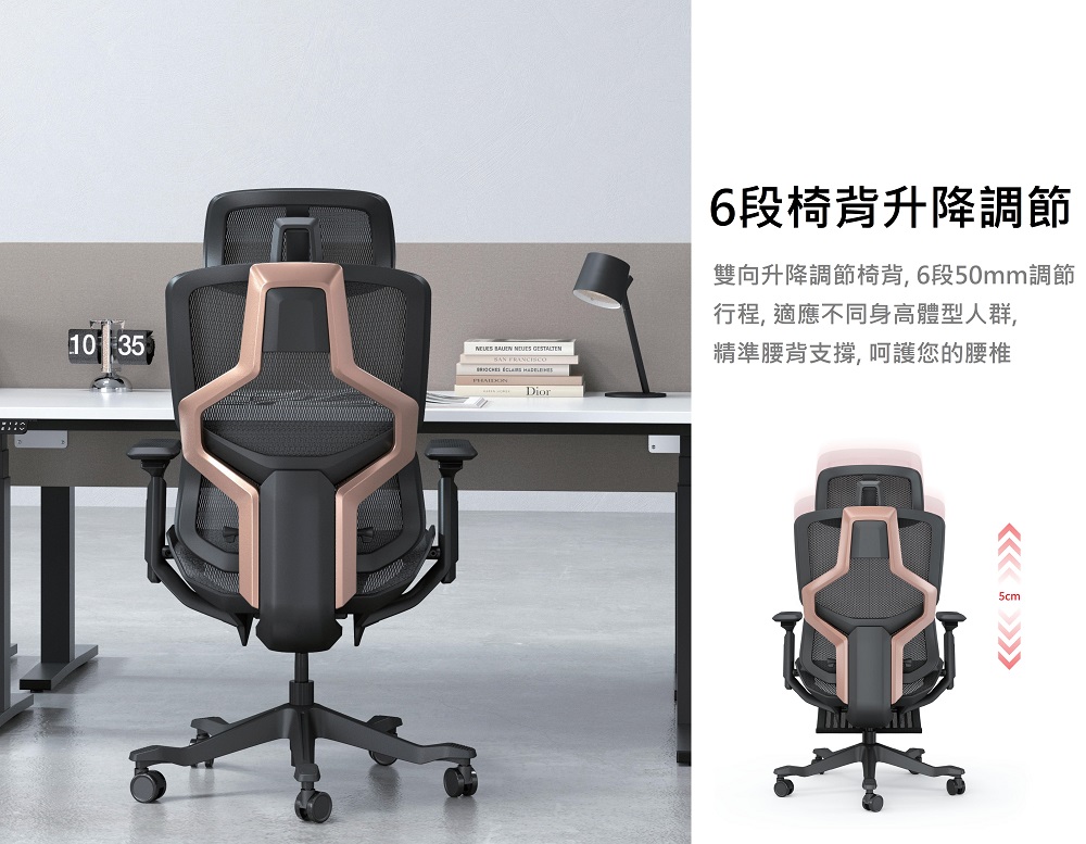 Donna_人體工學椅_椅背可調節高度