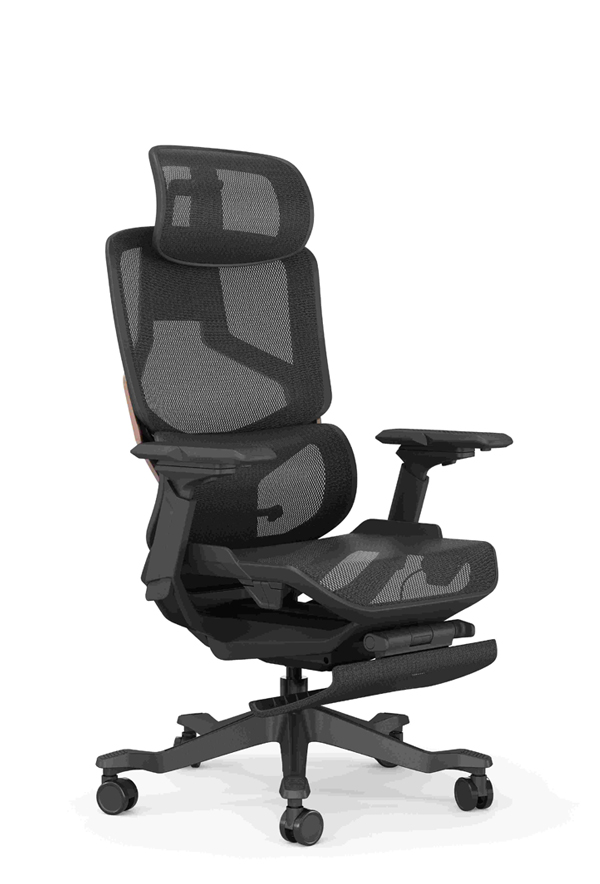 Donna_人體工學椅_正斜面照片