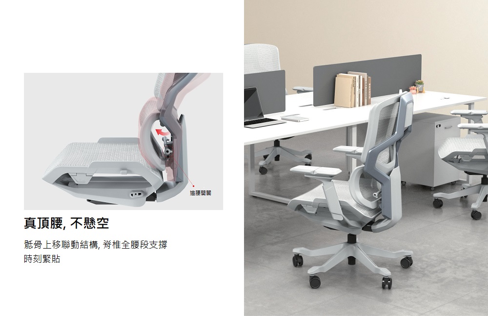 Donna_人體工學椅_腰墊聯動