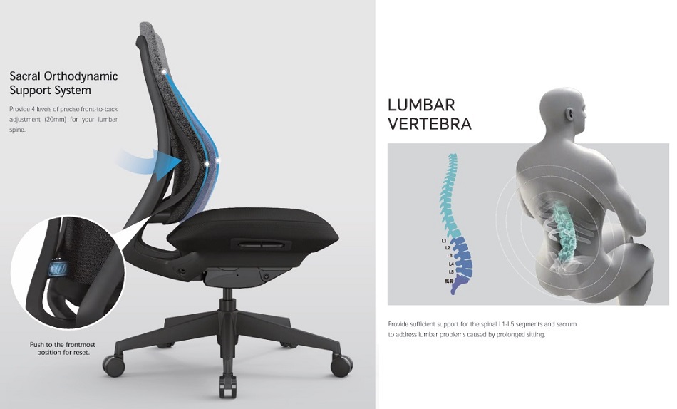 ESEE_人體工學椅_電腦椅_可調節腰部頂前角度