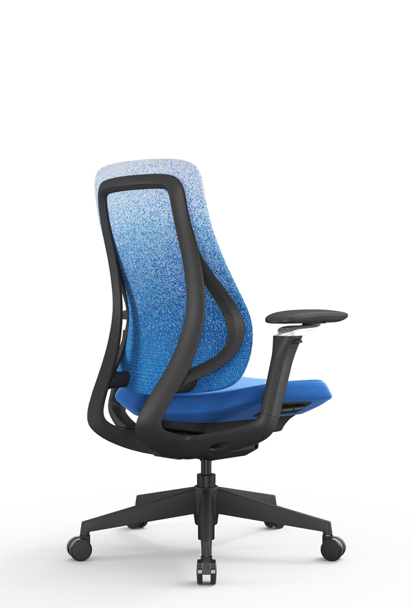 ESEE_人體工學椅_電腦椅_背斜面照片