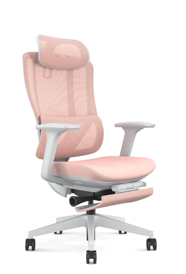 ESS_人體工學椅_電腦椅_正斜面照片